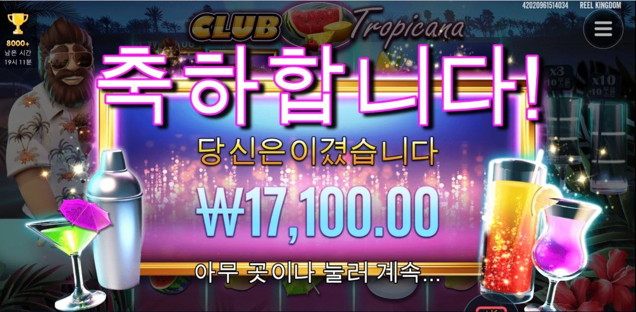 프라그마틱 클럽 트로피카나 털보