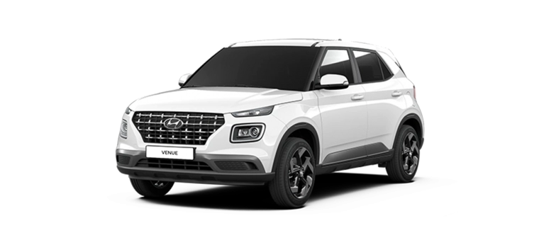 나란히 세워두면 찐가족 같은 팰리세이드와 베뉴