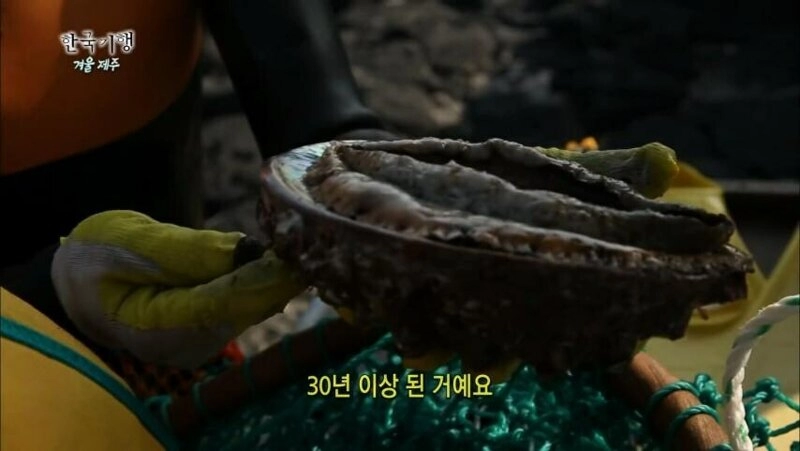 30년 이상 된 전복