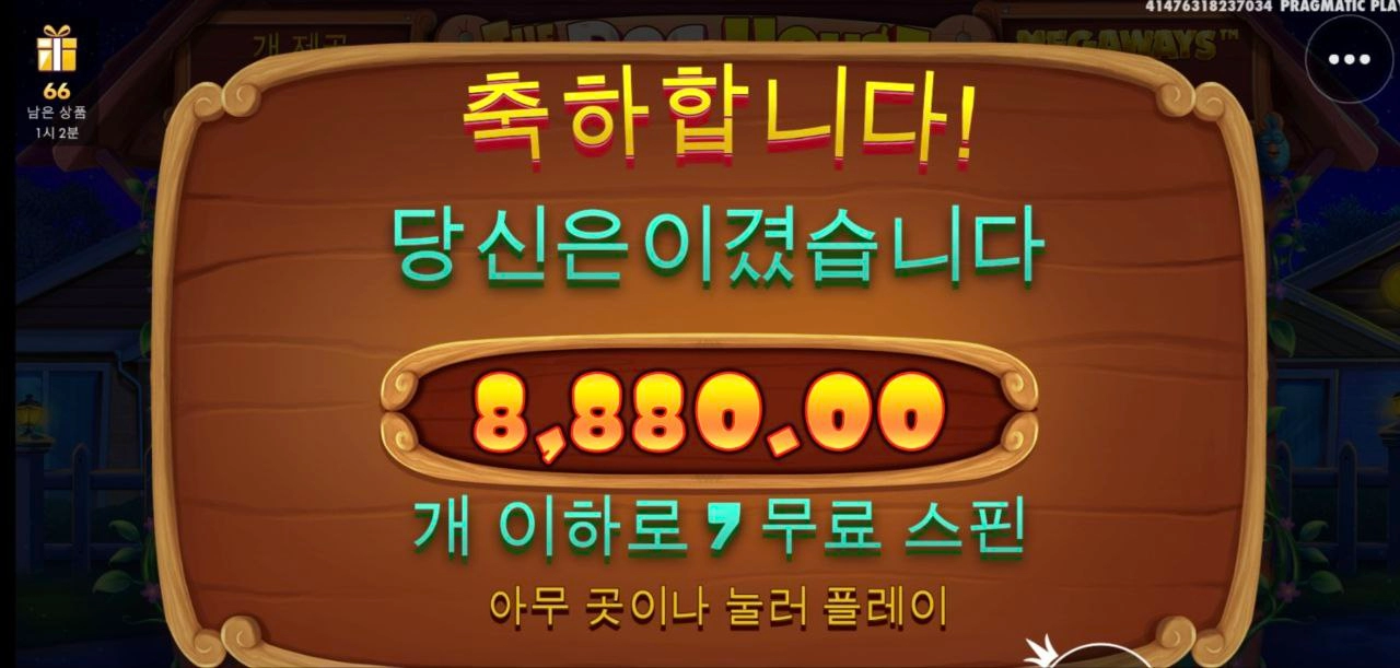 도그메가 아쉽다 아쉬워