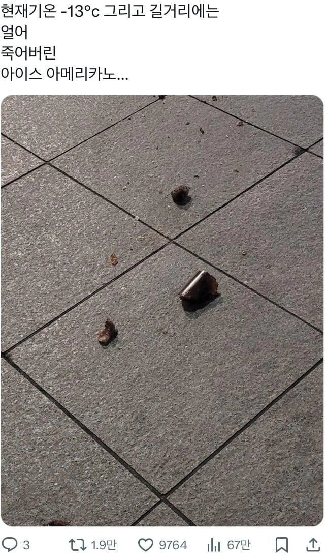 아이스 아메리카노의 최후