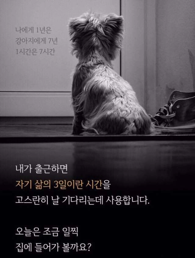 [감동] 집에 일찍 들어가야하는 이유
