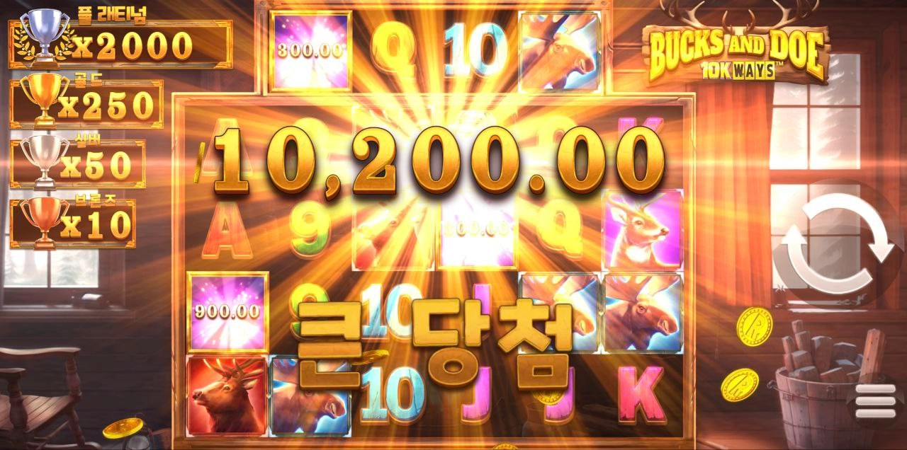 릴렉스게이밍 벅스 앤드 도