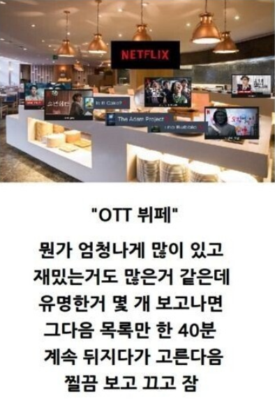 넷플과 ocn의 차이점