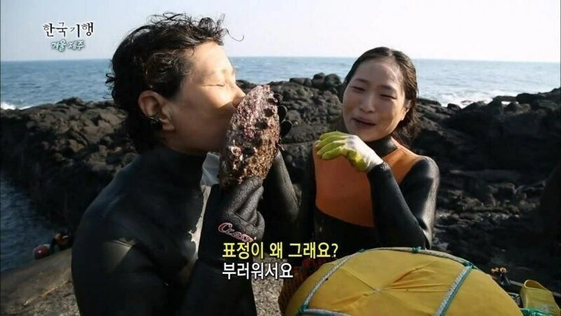 30년 이상 된 전복