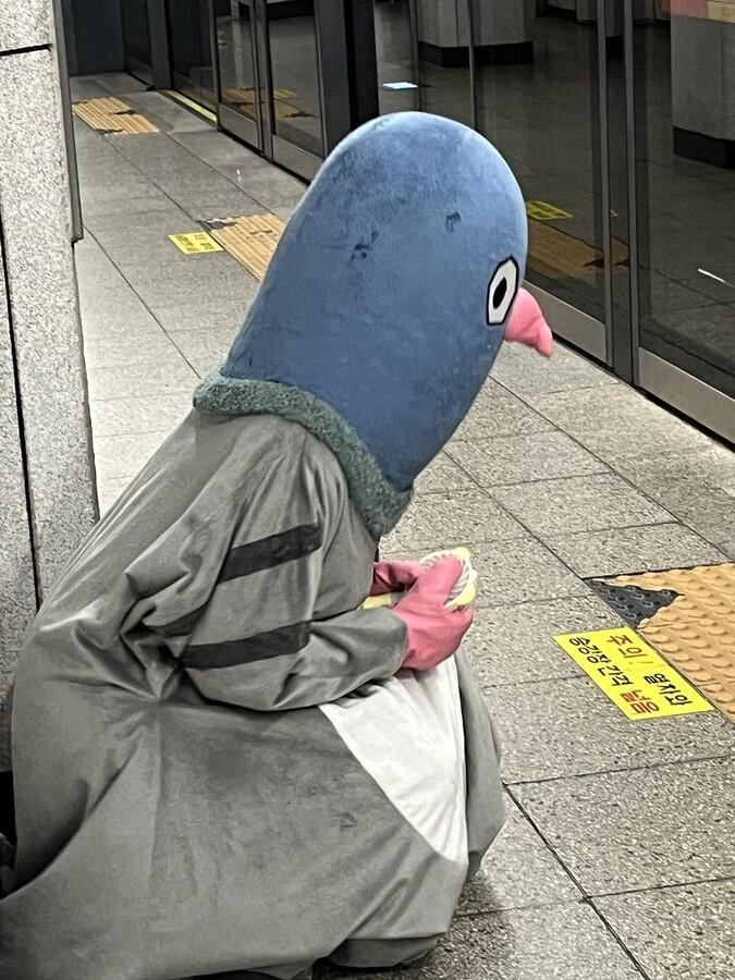 1호선 최신 근황