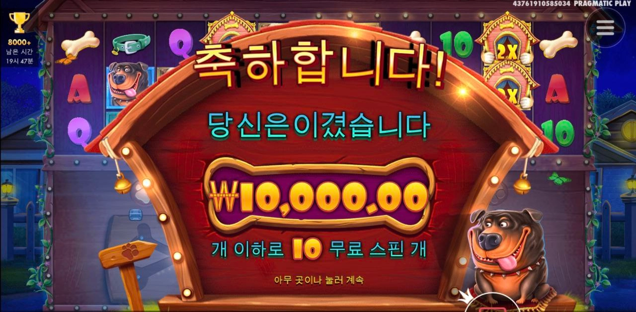 도그 멀티 안열어주네