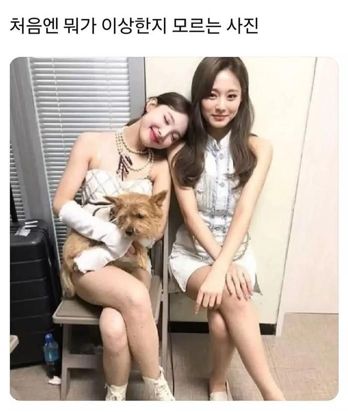 처음엔 이상한지 잘 모르겠는 쯔위