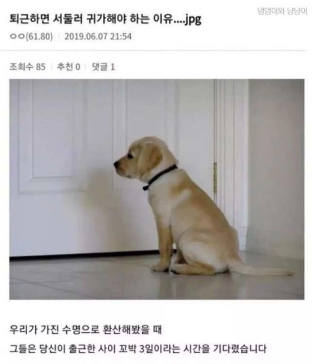 [감동] 집에 일찍 들어가야하는 이유