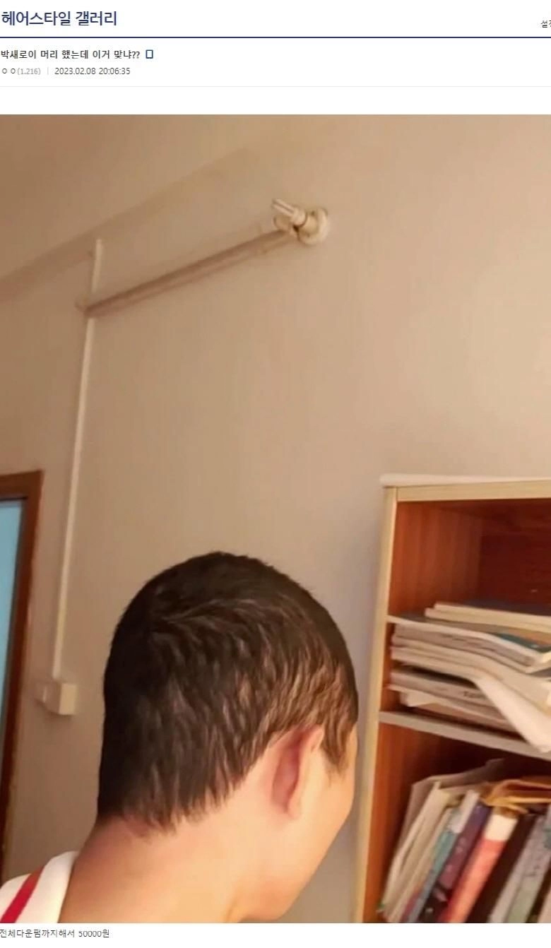 박새로이 머리에 대한 답글