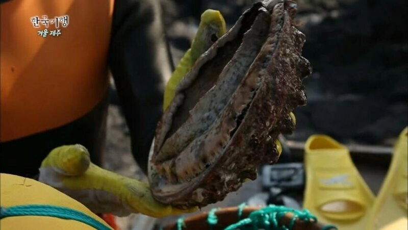 30년 이상 된 전복