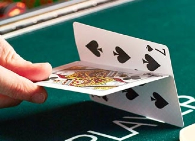 엘리트의 삶에서 카지노를 알게되면 생기는일! (1화)