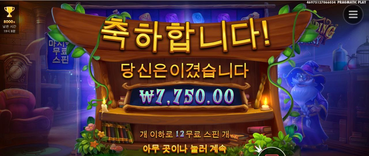 마법사 안주는군