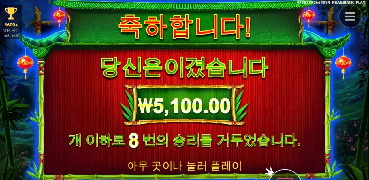 판다 마이너도 안주니