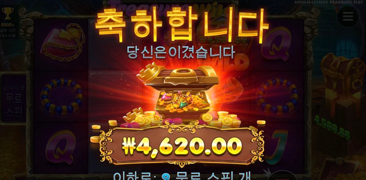 트레져와일드 바닥보너스 ~