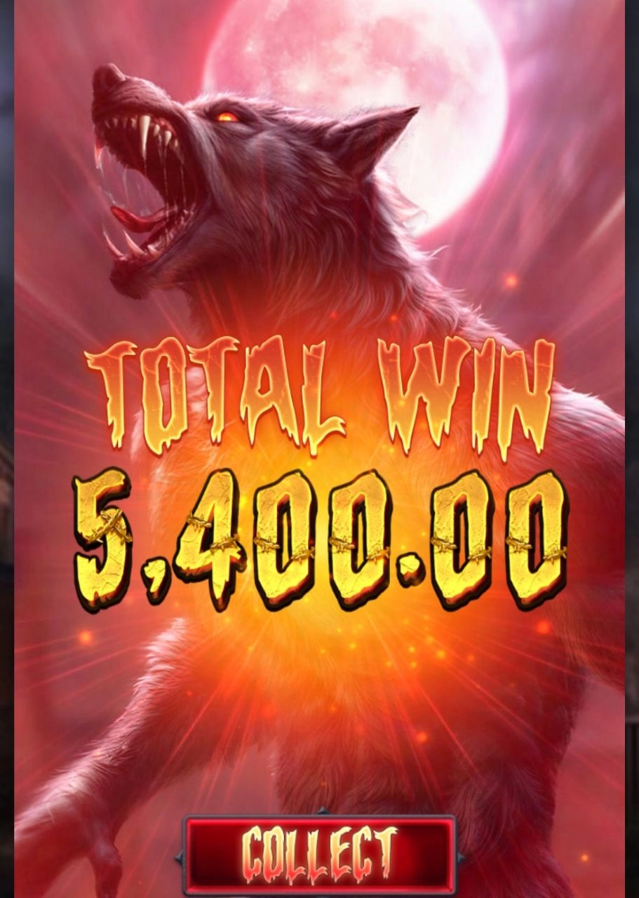 pg소프트 웨어울프