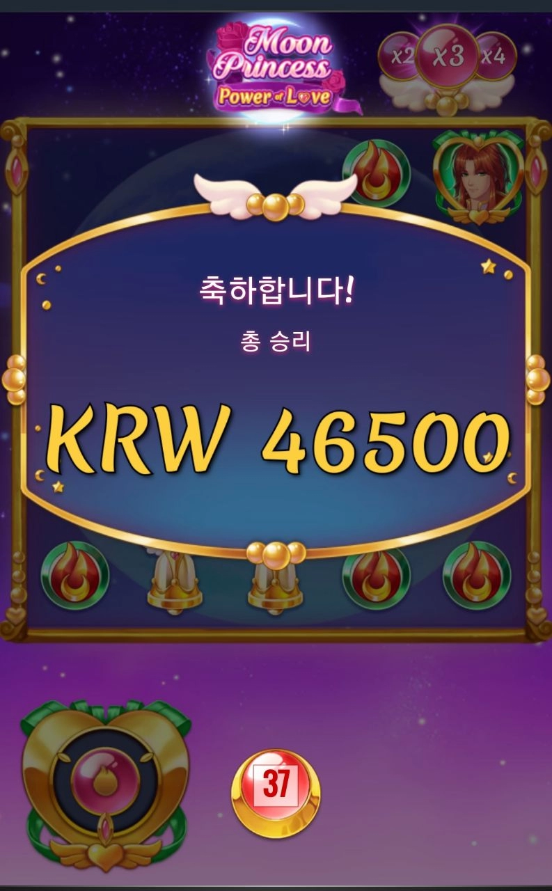 플레이엔고 문 프린세스