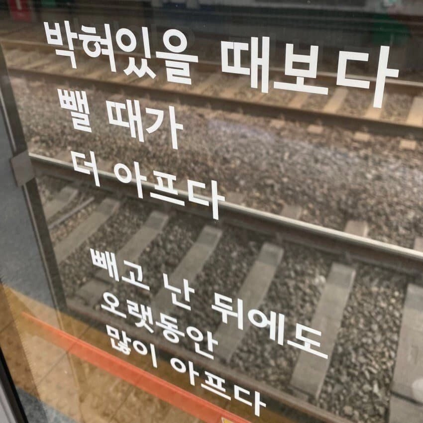 알아두면 좋은 ㅅㅅ 꿀팁