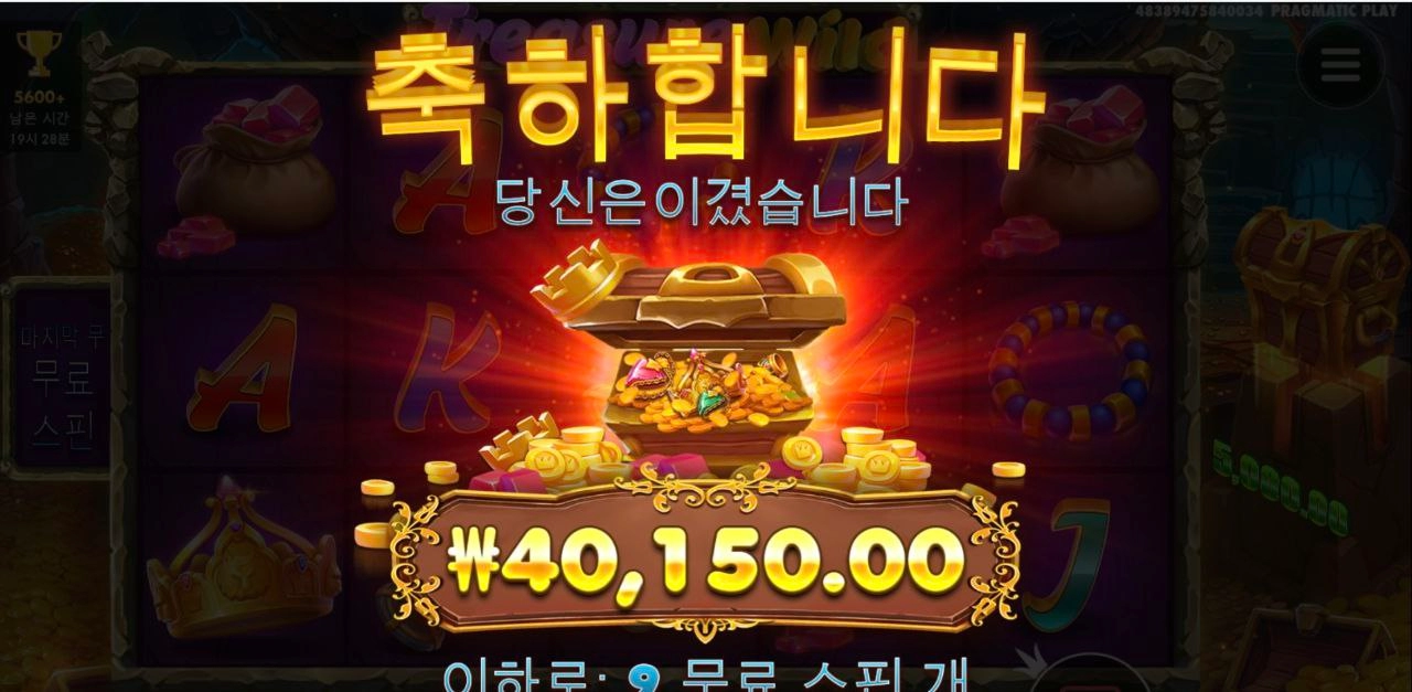 재미있는 트레져와일드