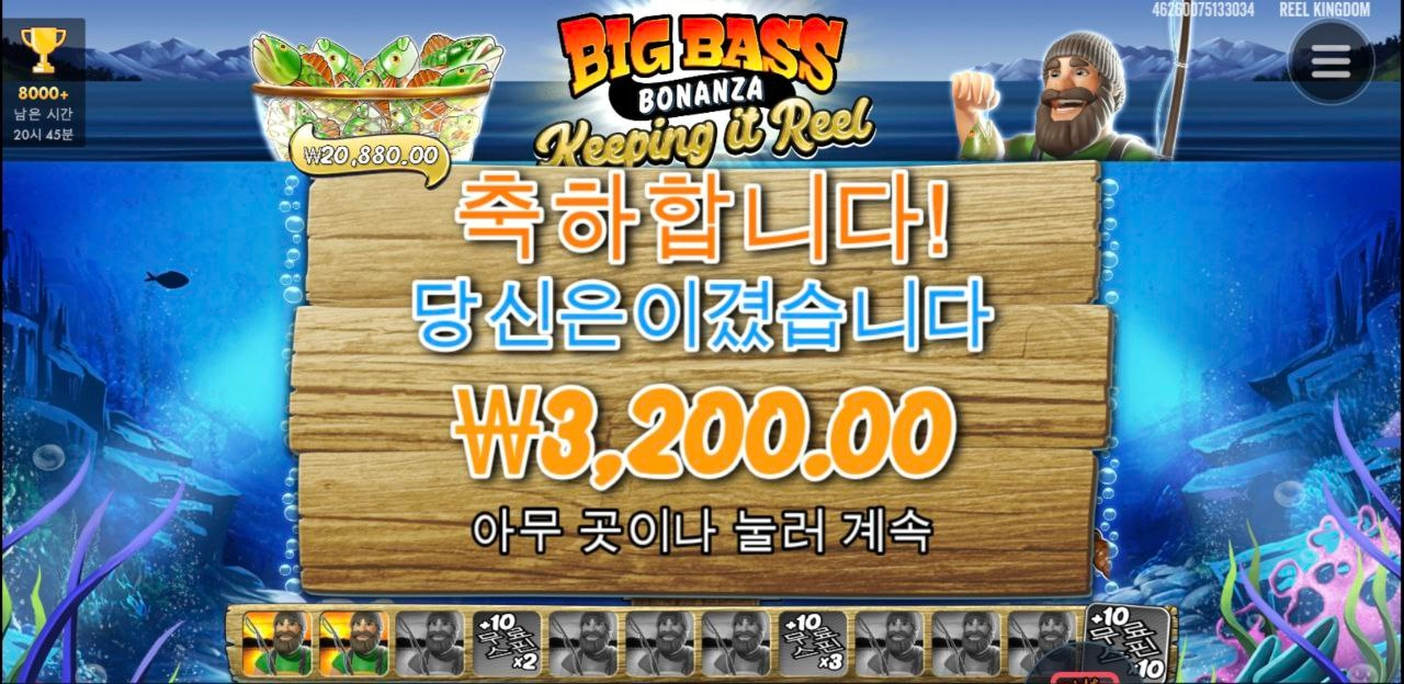 털보 아저씨 행방불명