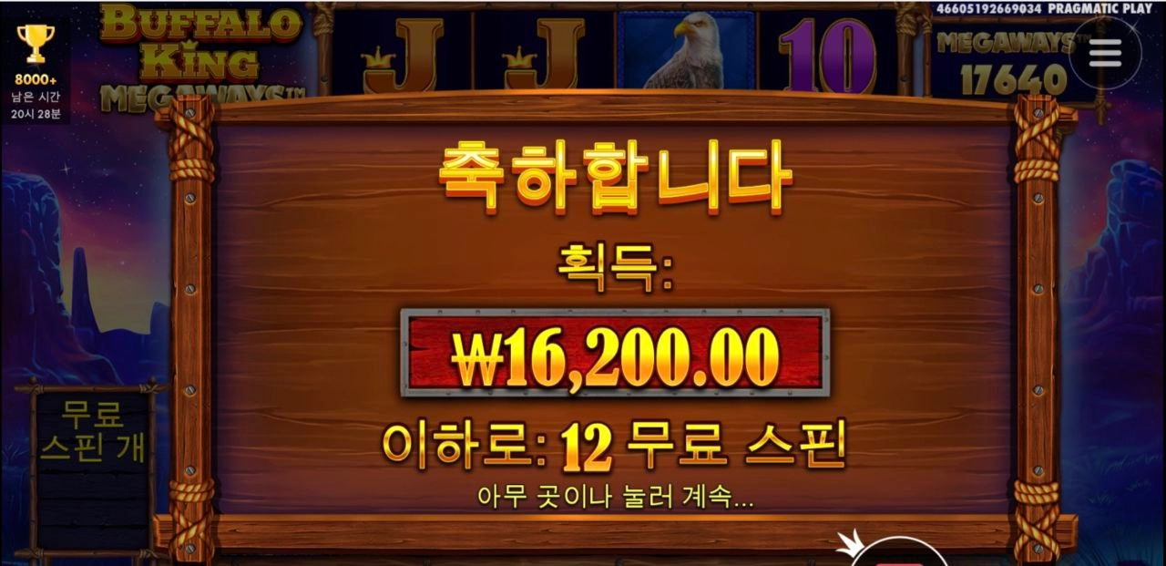 프라그마틱 버메가 후기