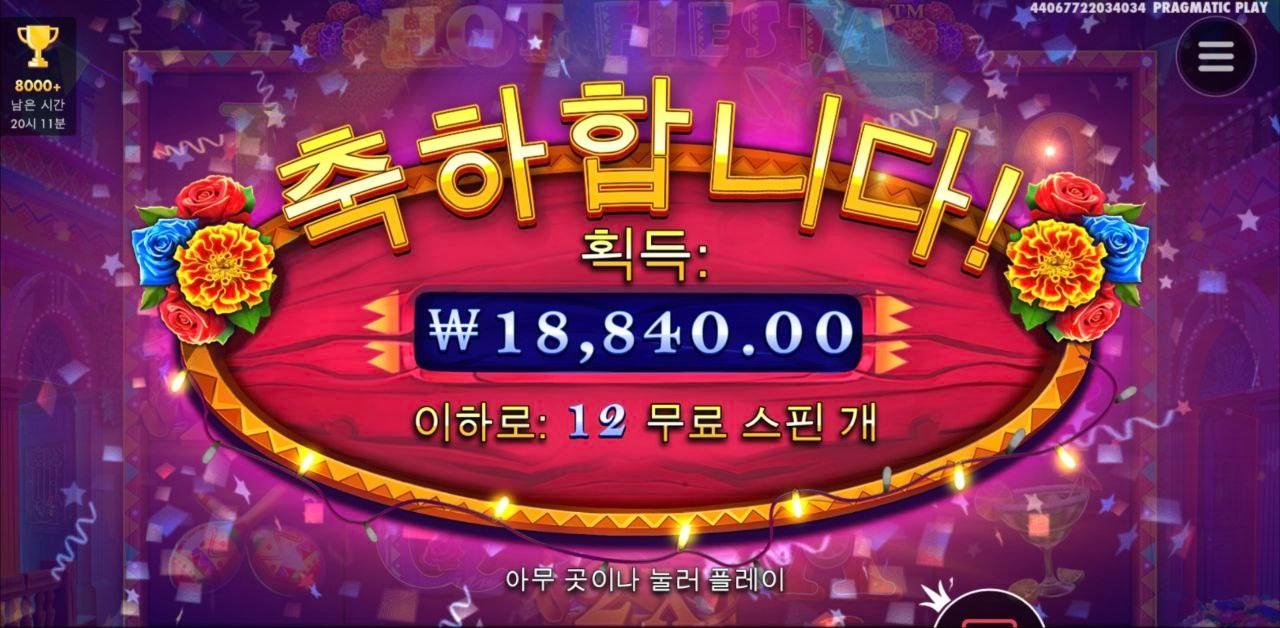 핫피 와일드 너무 늦게 꽂아주네