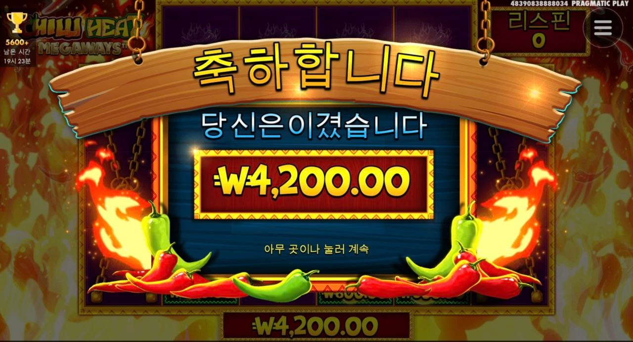 칠리메가 아이템 실종