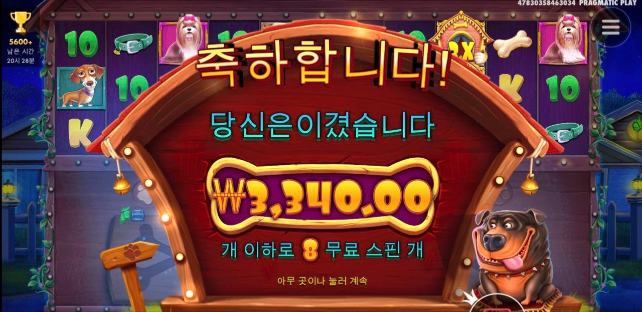 도그 멀티 4개다 열어보고싶은데