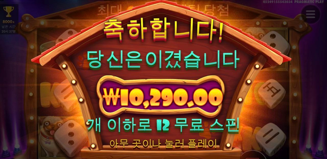 50바퀴만에 진입 개집 다이스