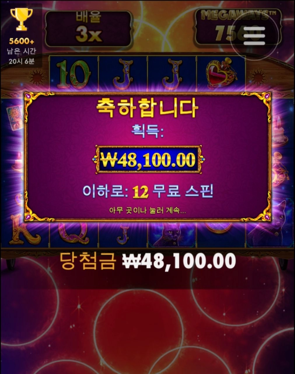 마담메가 돌림판 3배수가 조금 아쉽다