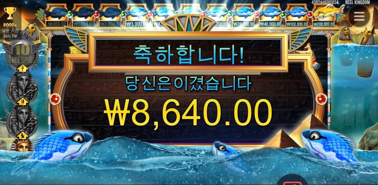 피씨아이 파라오 실종되서 안보여