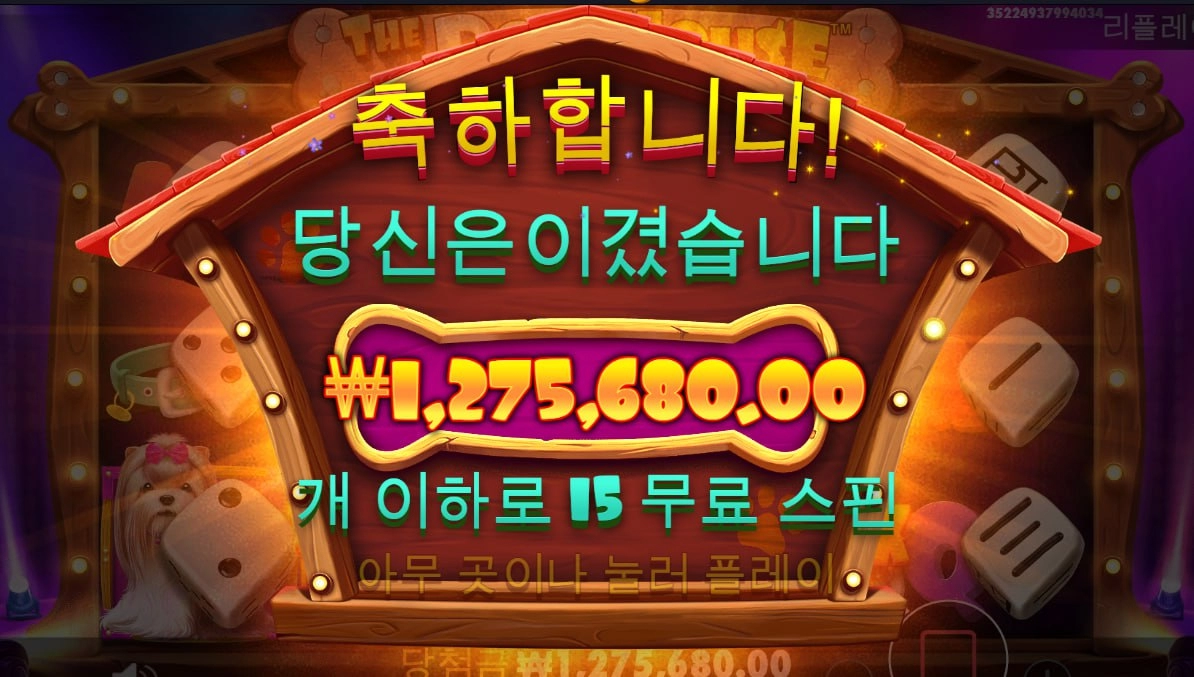 나도 너무 개집에 길들여져 있나??