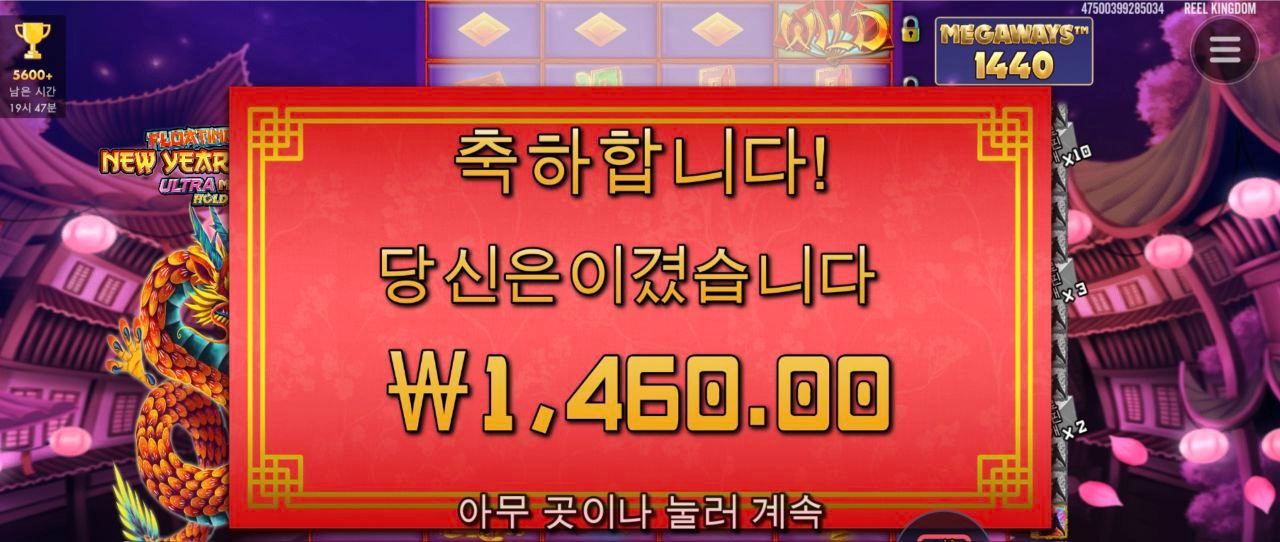 플로팅드래곤 여자 행방불명