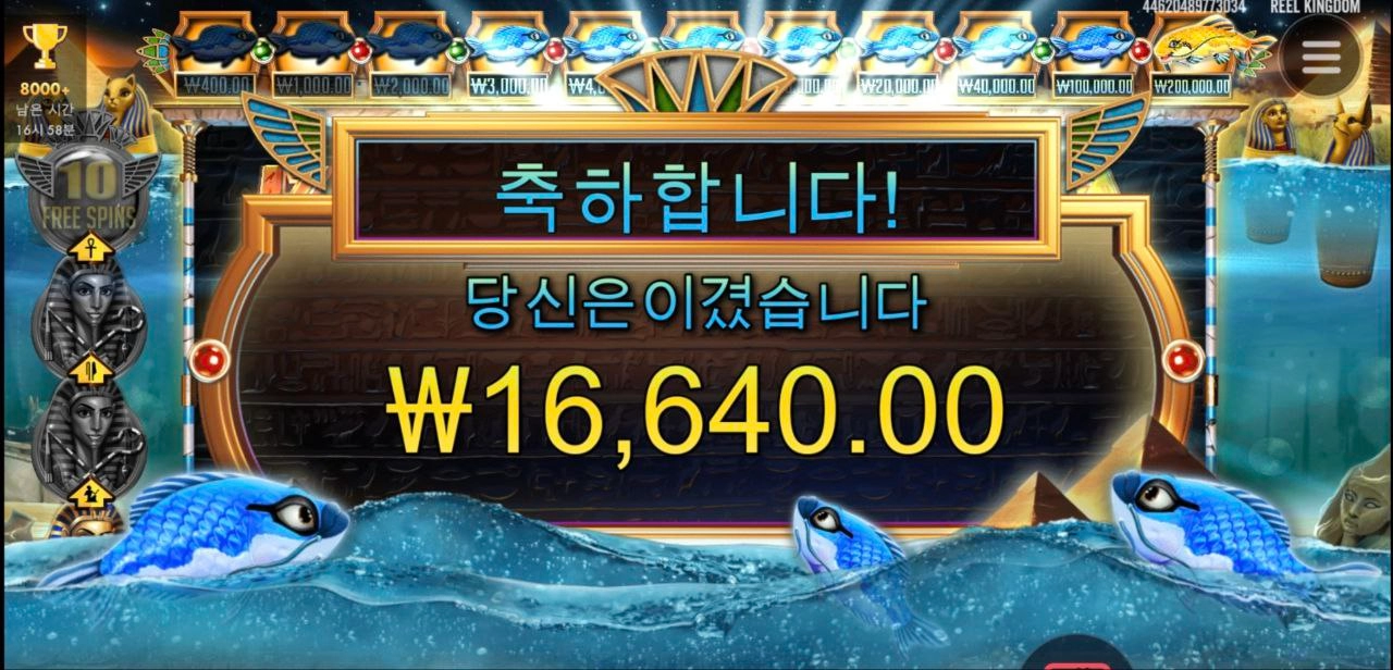 프라그마틱 피씨아이 황금물고기 스쳐가네