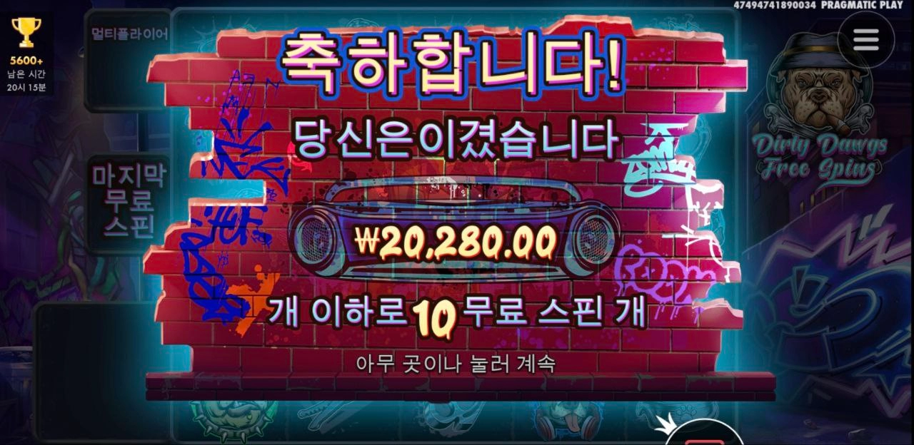 빅 도그로 출발