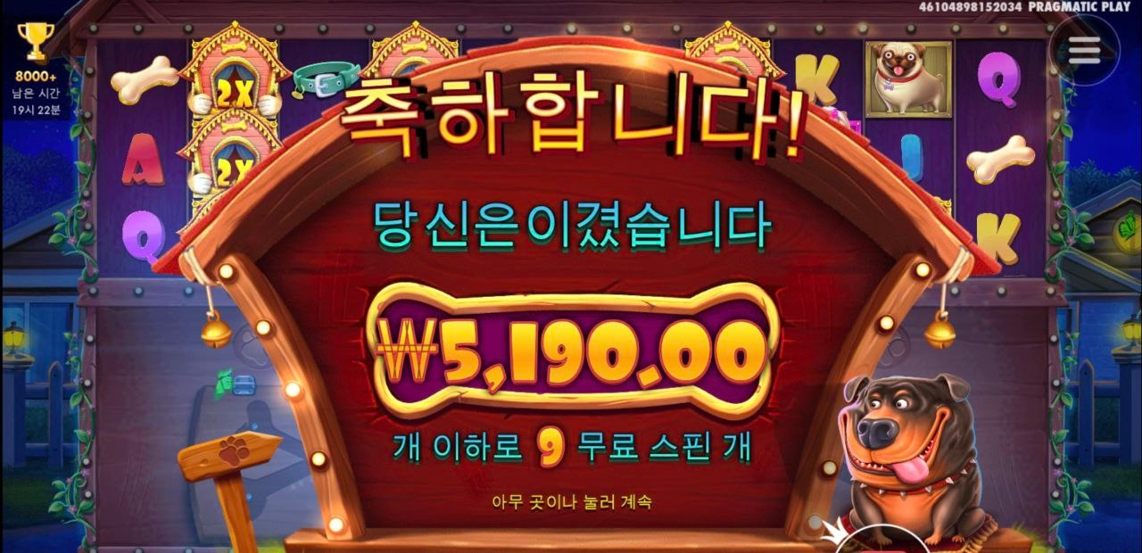 도그멀티칸 다 열어보고싶은데