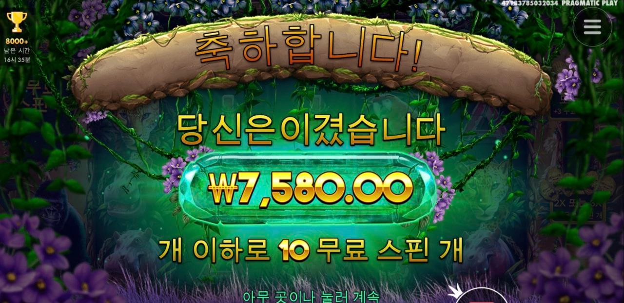 추가스핀 안주노