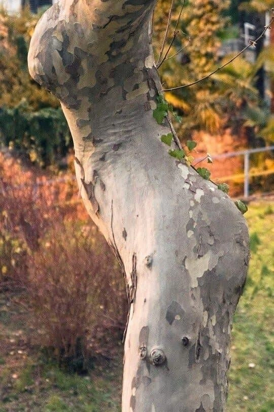 동탄의 호수공원 ㅗㅜㅑ