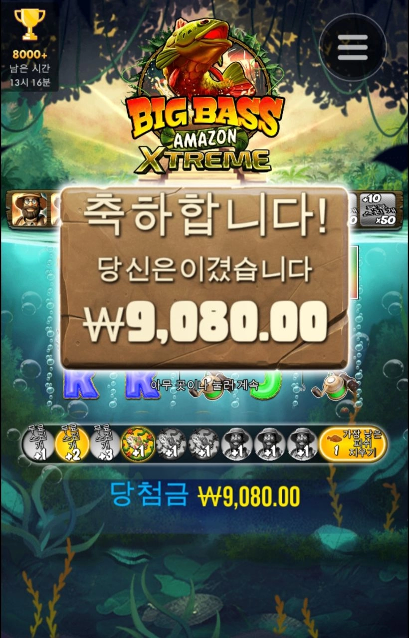 프라그마틱 빅베스 아마존