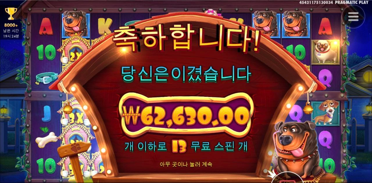 처음으로 도그멀티 다 열어보네