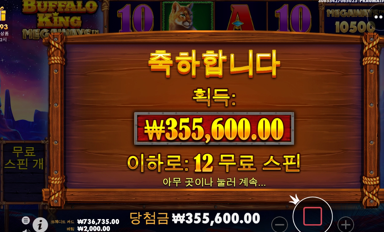 버팔로 오늘하루 마무리