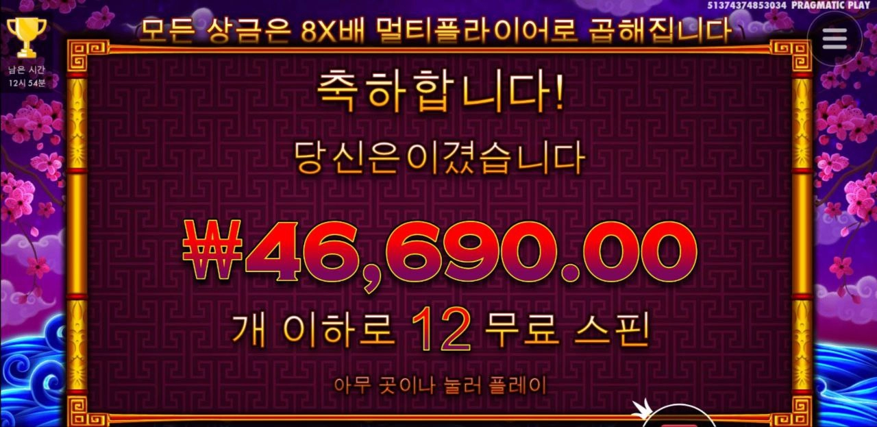 페킹럭 부채 선택을 잘해야하는데