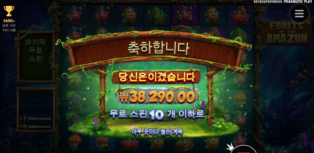 추가스핀좀 주지