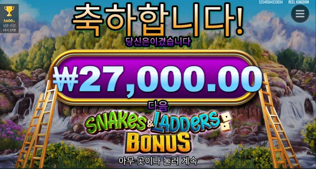 사다리타는 고릴라