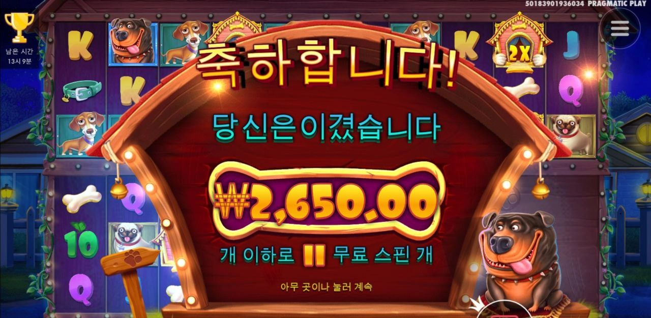 도그멀티 3칸 오픈