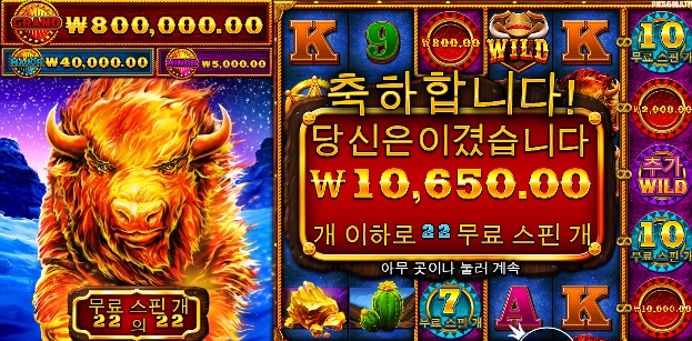 스탬피드 화이어