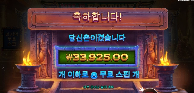 나일 포춘 후기