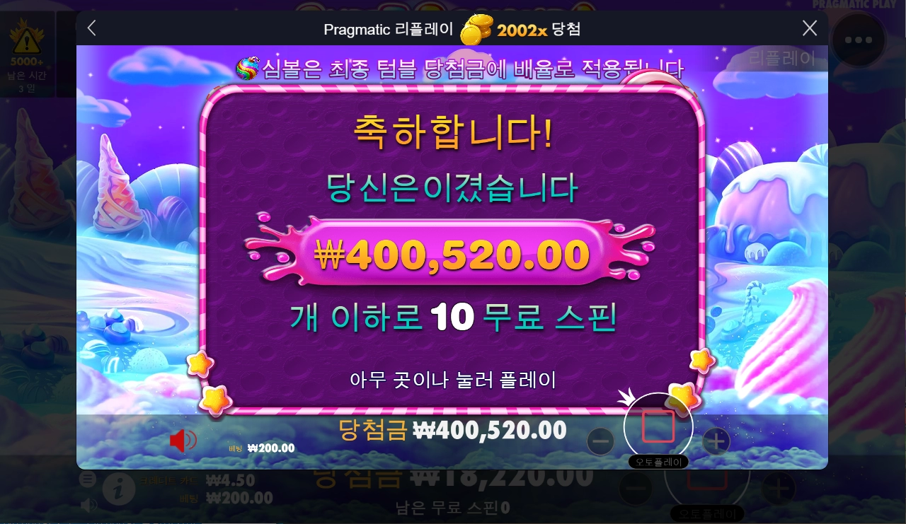 스위트_보난자 후기