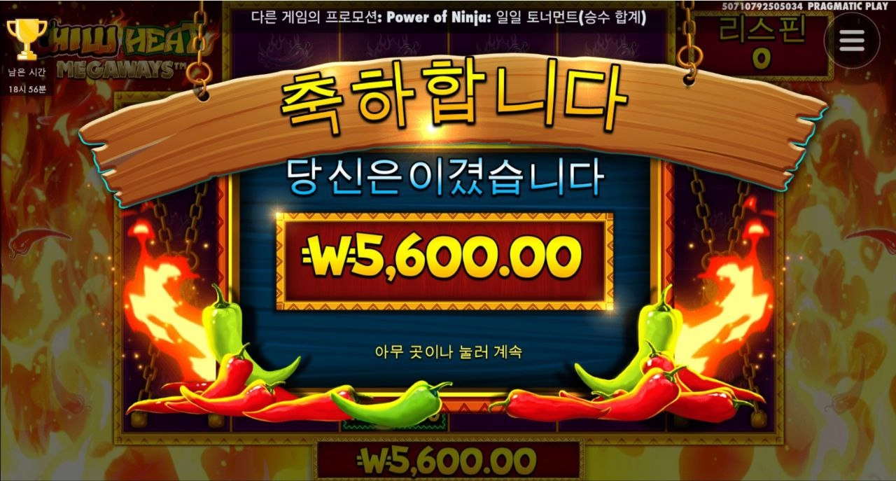 칠리메가 아이템은 다 어디로