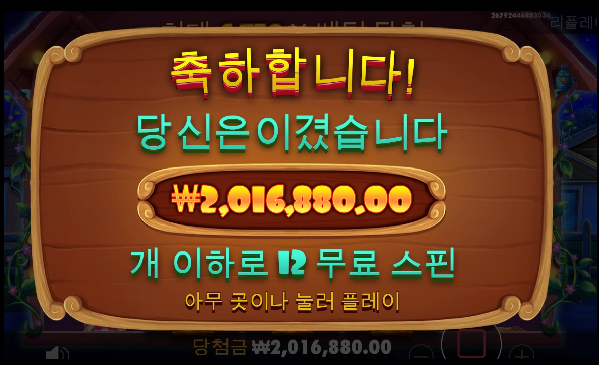 대박 개집 후기